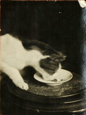 Gros-Père Gros-Père