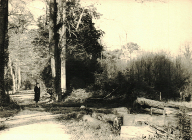 Le terrain de la maison du Canon avant sa construction Le terrain de la maison du Canon avant sa construction