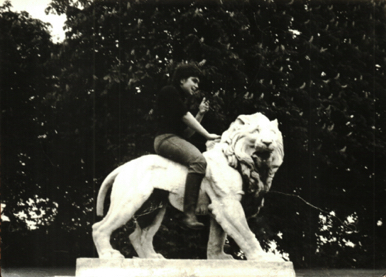 Sur un lion du Luxembourg Sur un lion du Luxembourg